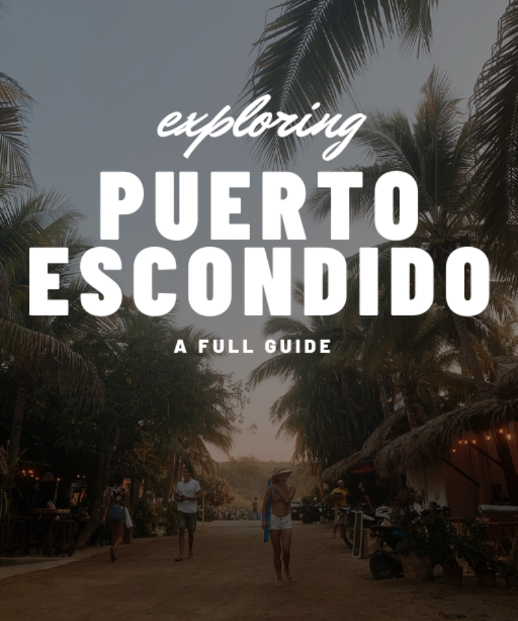 Puerto Escondido E-Guide